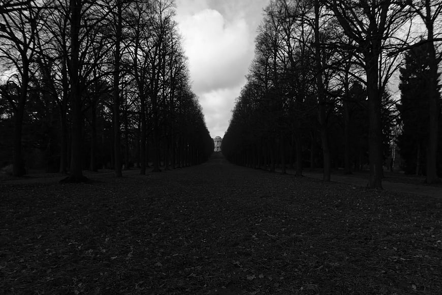Black and white tree-lined path leading to distant building