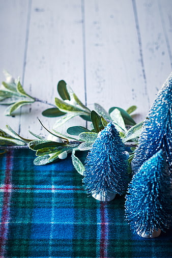 Blue Christmas Trees on Plaid Scarf with Frosty Branches