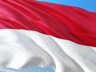 Indonesian Flag Waving in the Wind