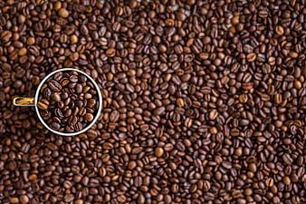 Top View of Coffee Cup Filled with Roasted Beans