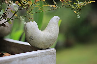 White Concrete Bird Statue in Garden Planter