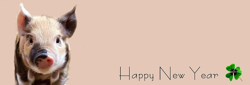 Cute Piglet with Happy New Year Text and Four Leaf Clover