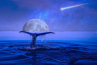 Whale Tail Diving Under Giant Moon and Shooting Star