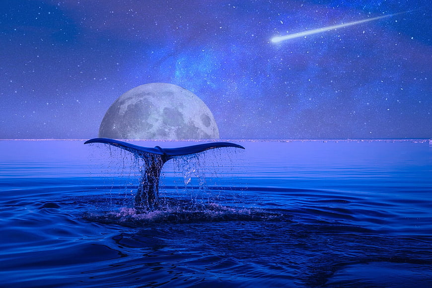 Whale Tail Diving Under Giant Moon and Shooting Star