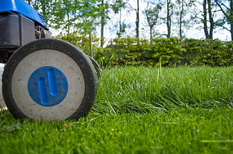 Close-up of blue lawnmower wheel on green grass