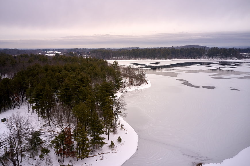 Aerial view of frozen lake surrounded by snowy pine forest