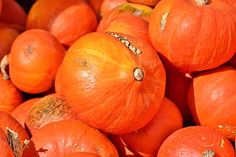 Close-up of orange pumpkins piled together in bright sunlight