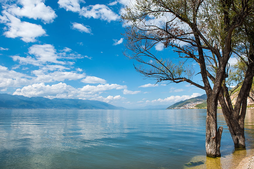 Serene Lake Landscape with Tree and Blue Sky