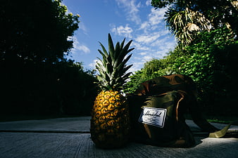 Pineapple and Camo Backpack on Wooden Deck