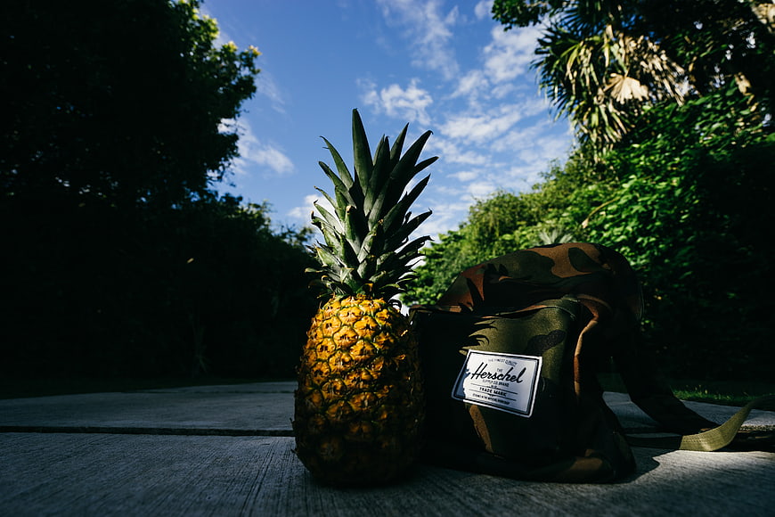 Pineapple and Camo Backpack on Wooden Deck