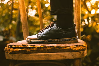 Black leather shoe on rustic wooden chair in autumn forest
