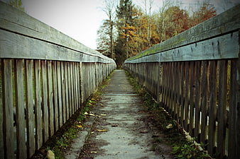 Wooden Bridge Pathway in Autumn Forest