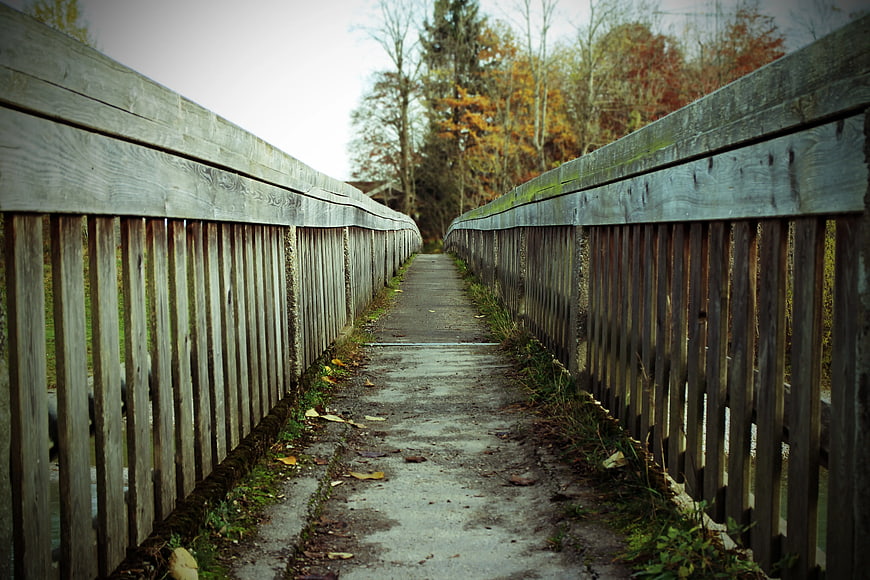Wooden Bridge Pathway in Autumn Forest