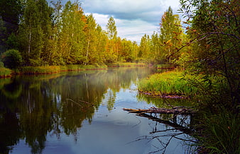 Autumn Forest River Landscape With Reflections