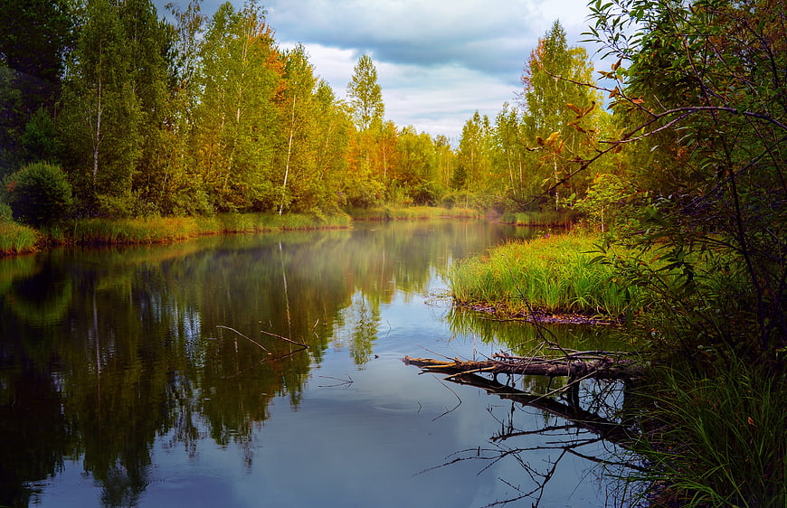 Autumn Forest River Landscape With Reflections