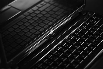 Close-up of black HP laptop keyboard in monochrome