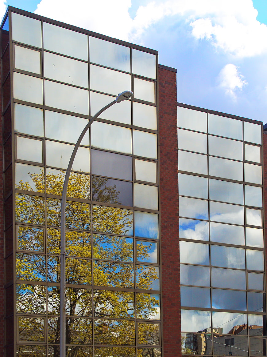 Modern glass office building with tree reflection