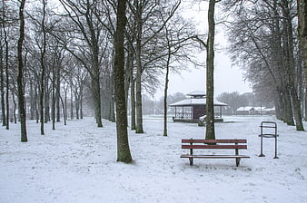 Snowy park with red bench and gazebo in winter