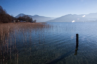 Winter Lake Landscape With Distant Mountains And Reeds