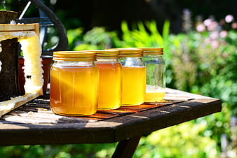 Fresh Honey Jars and Honeycomb on Wooden Table in Garden