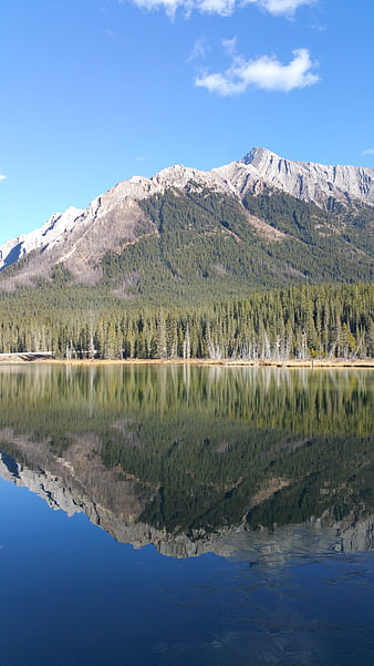 Serene mountain lake with perfect reflection and pine forest