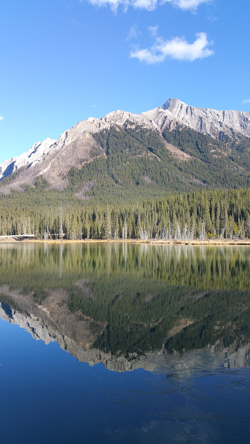 Serene mountain lake with perfect reflection and pine forest