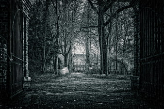 Dark moody black and white photo of an open iron gate leading to a house in a forest