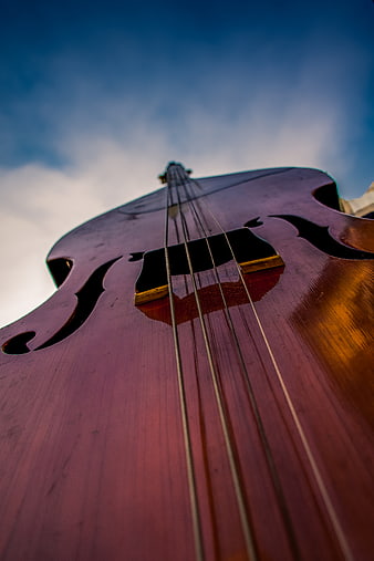 Low Angle Close-Up of Double Bass Body and Strings