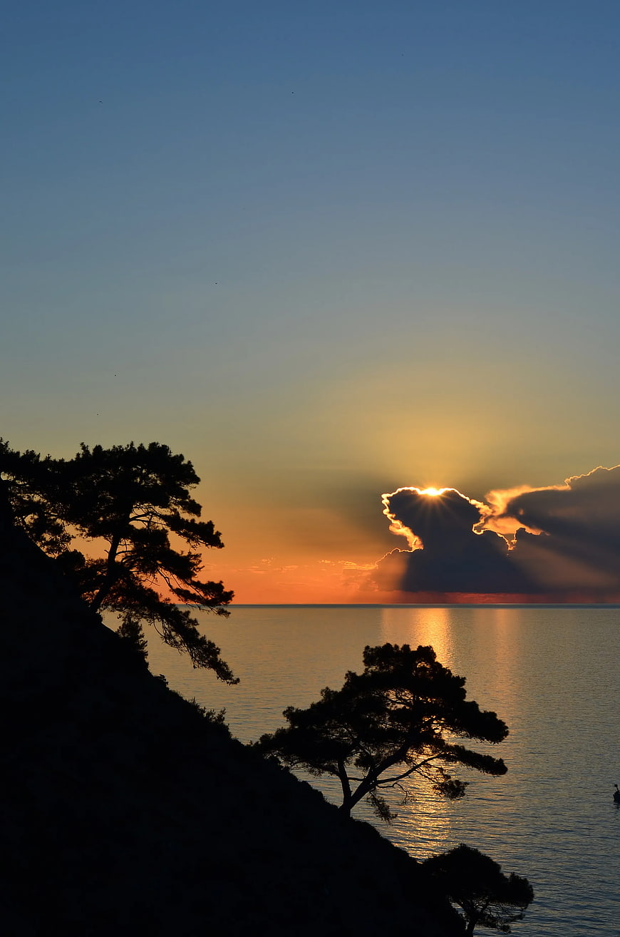 Sunset over sea with sun rays through clouds and silhouetted trees
