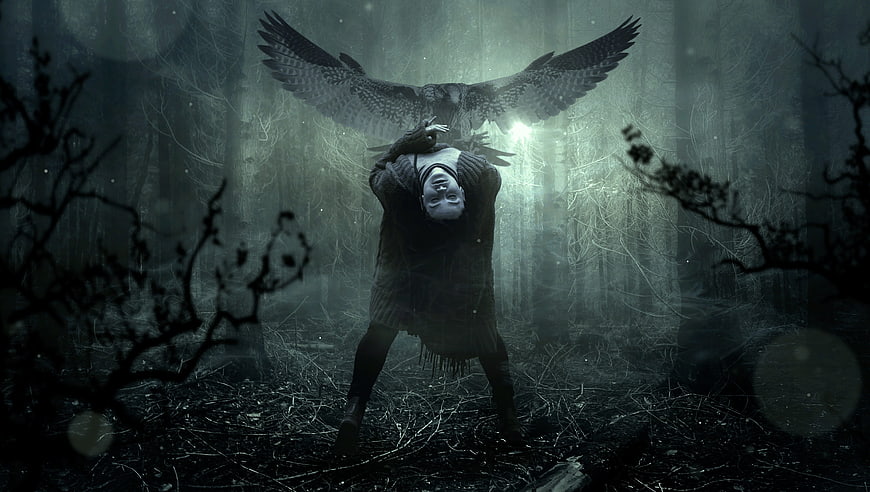 Dark fantasy woman with owl in misty forest