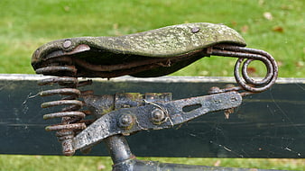 Rusty vintage bicycle saddle with moss and spiderwebs