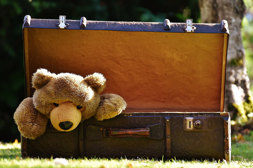 Sad teddy bear peeking out of vintage suitcase in park