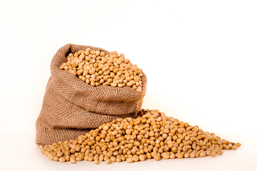 Soybeans Spilling from Burlap Sack on White Background