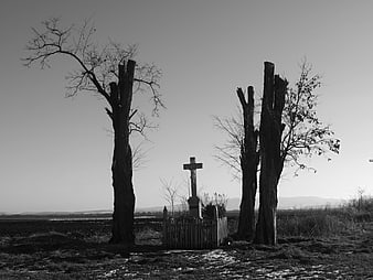 Solitary wooden cross in rural landscape with dead trees