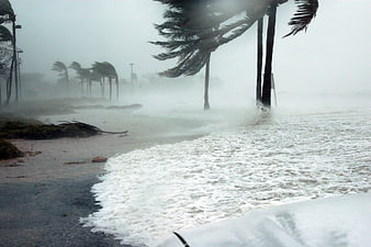 Hurricane storm surge flooding coastal road with palm trees