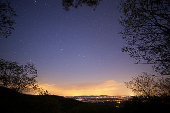 Starry Night Sky Over Distant City Lights and Silhouetted Trees