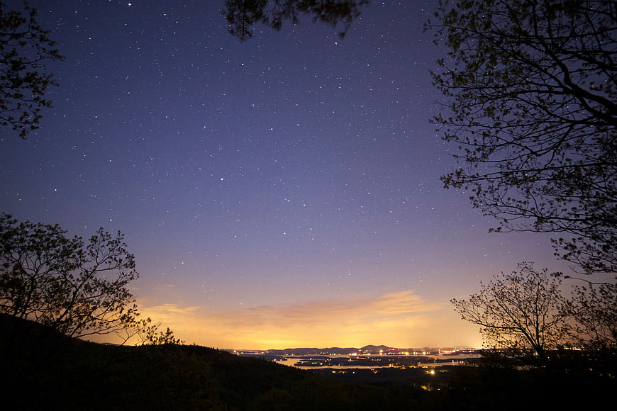 Starry Night Sky Over Distant City Lights and Silhouetted Trees