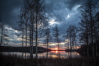 Dramatic sunset over lake with silhouetted birch trees