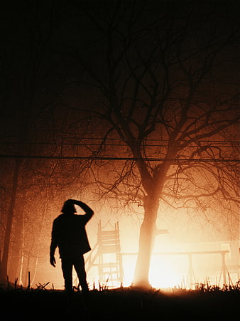 Silhouette of Man Standing in Foggy Forest at Sunset