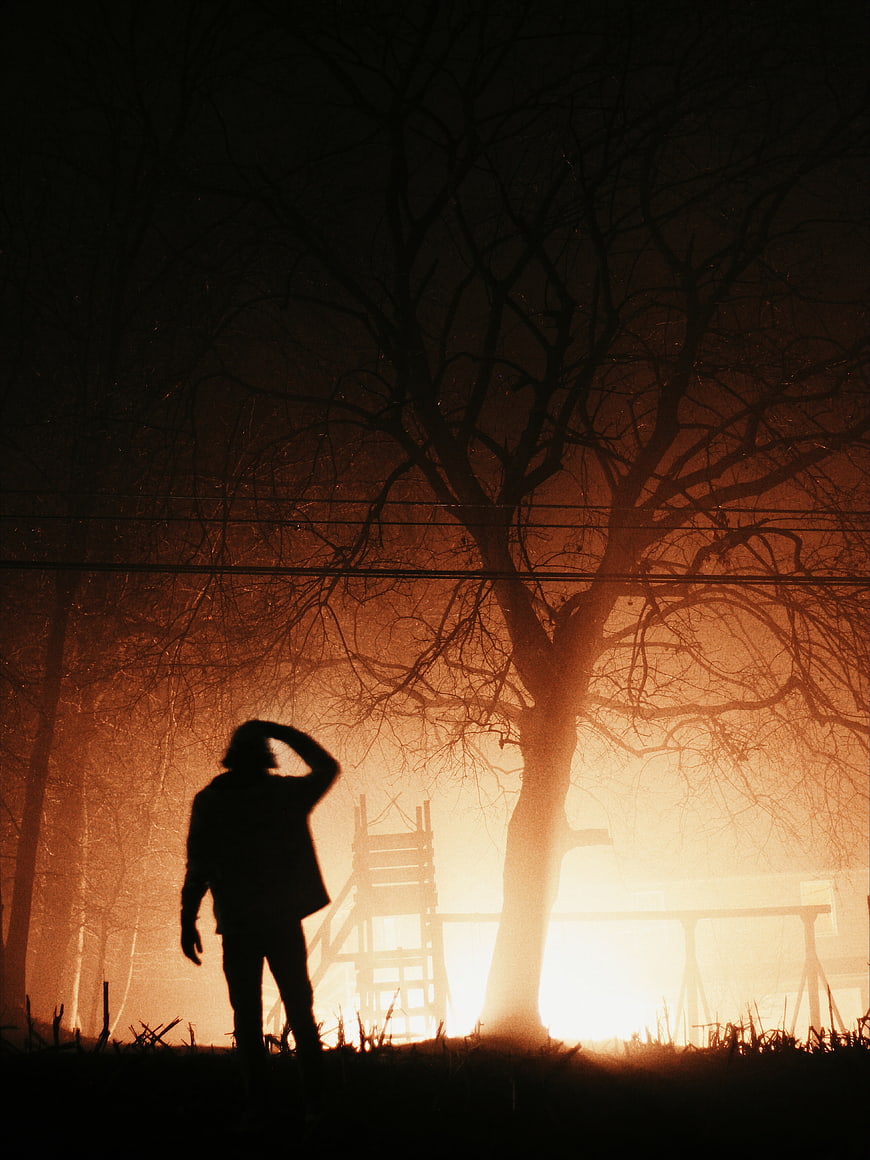 Silhouette of Man Standing in Foggy Forest at Sunset