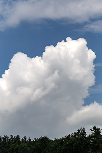 Fluffy white cumulus cloud against blue sky with forest