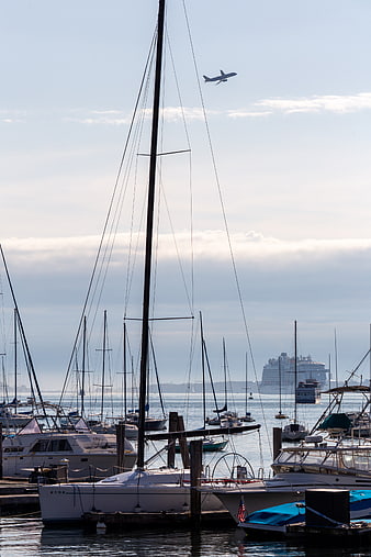 Sailboats in Harbor with Airplane and Cruise Ship