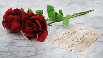 Red Roses and Vintage Tickets on Marble Background