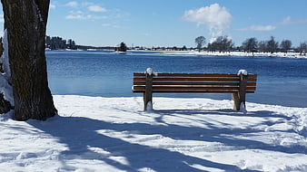 Empty wooden bench in snowy park by frozen lake
