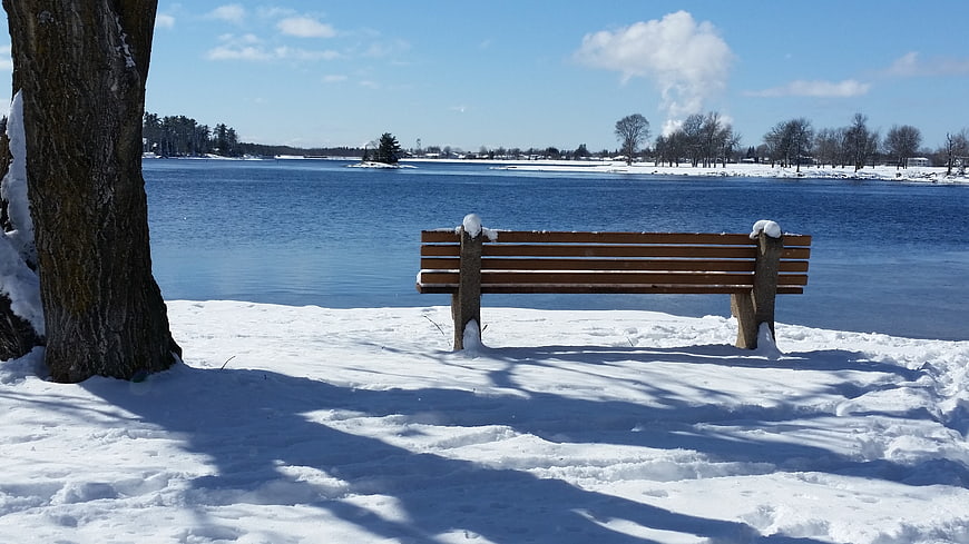 Empty wooden bench in snowy park by frozen lake