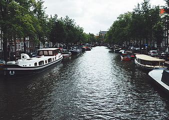 Amsterdam Canal with Houseboats and Trees