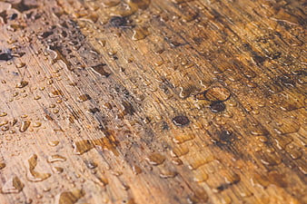 Close-up of wet wooden texture with water droplets