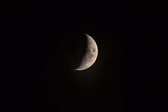 Crescent Moon in Dark Night Sky