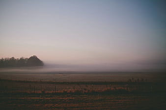 Misty Morning Landscape with Foggy Fields and Trees