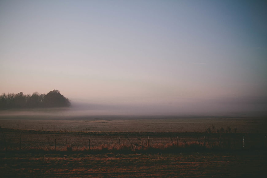Misty Morning Landscape with Foggy Fields and Trees